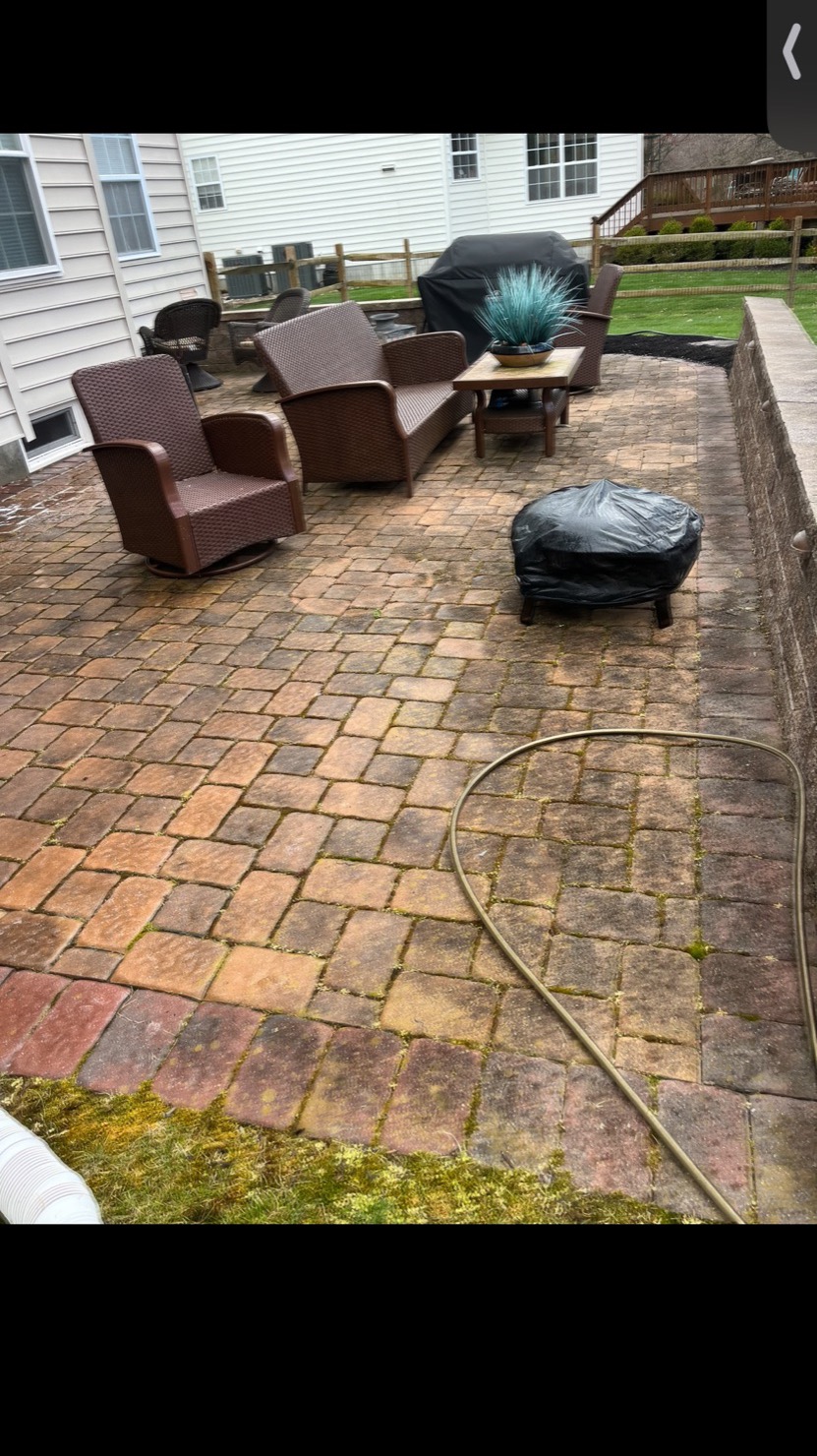 Mossy paver patio before power washing