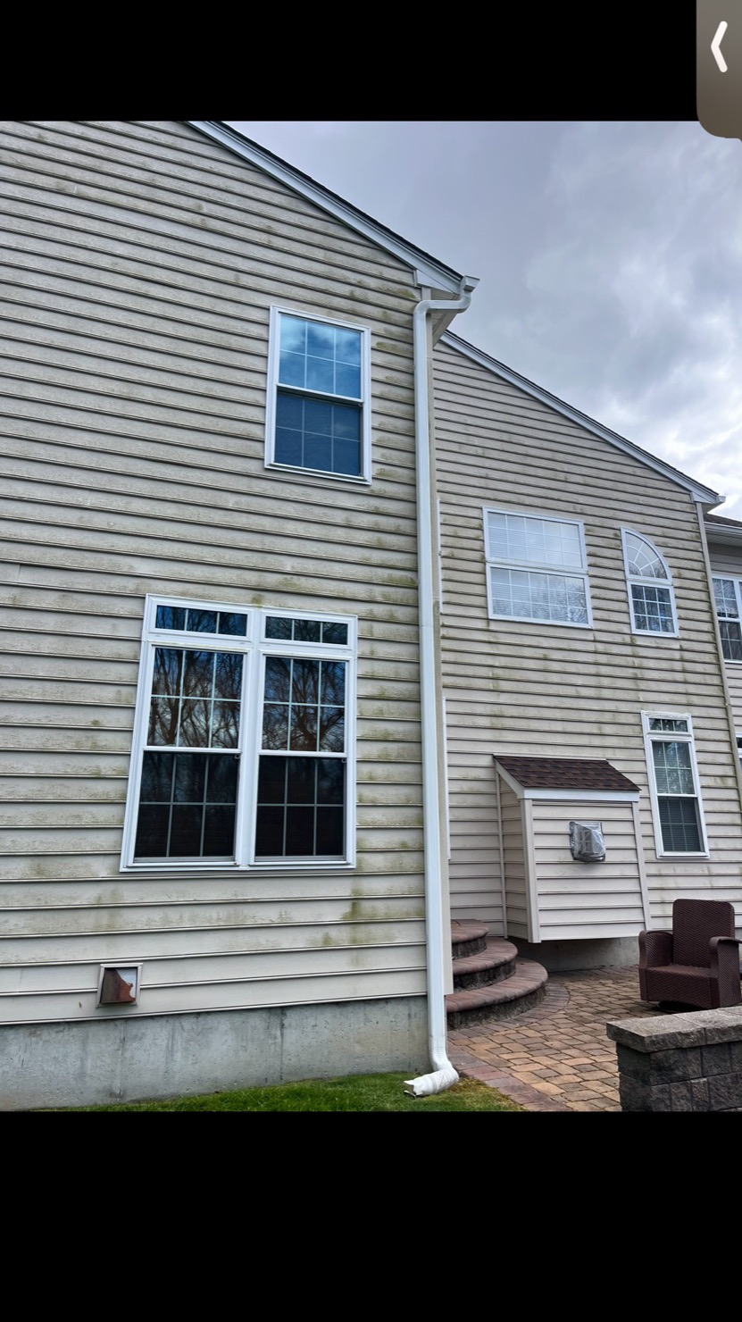 House siding with algae before soft wash